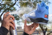 Shoe Protector Spray